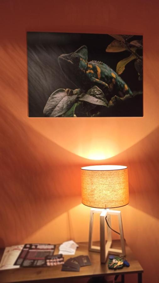 Apartment Maison Tropical - Luxury In *