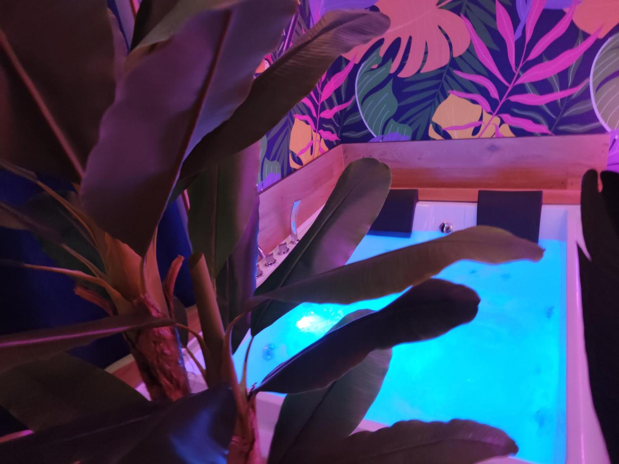 Apartment Maison Tropical - Luxury In *